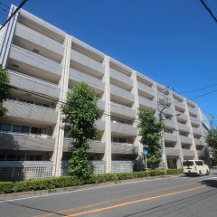 IMG_6805